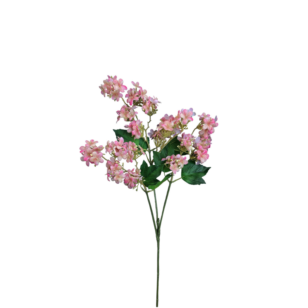 Pentas Spray 69cm.