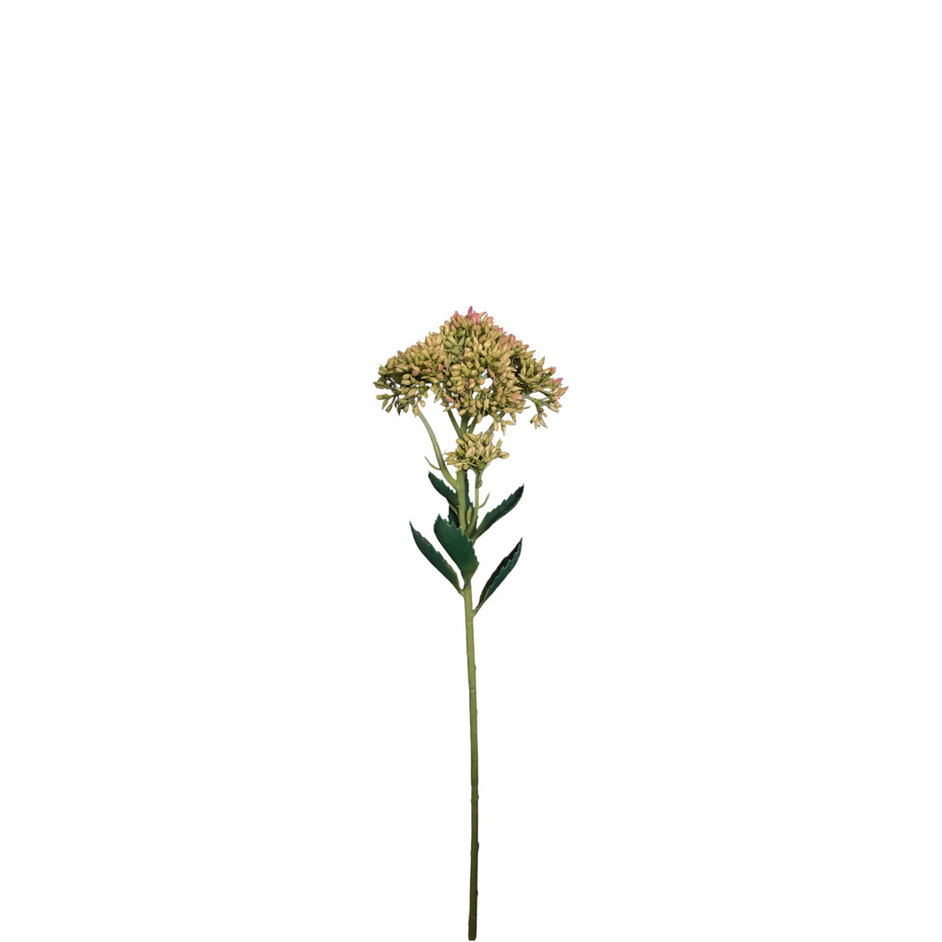 Budding Sedum Spray 56cm.