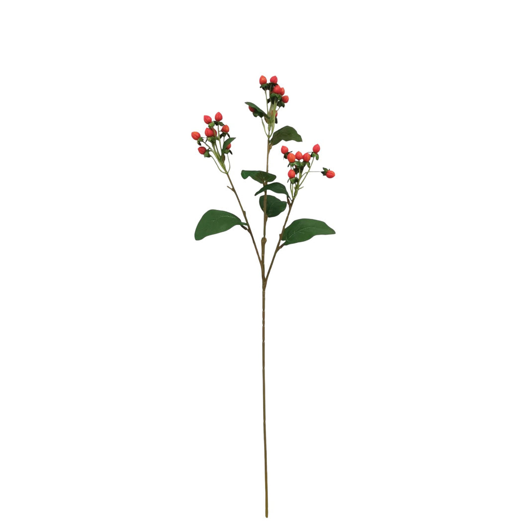 Hypericum Spray 67cm.