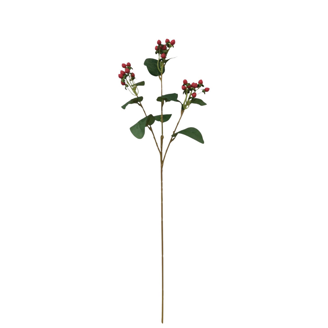 Hypericum Spray 67cm.