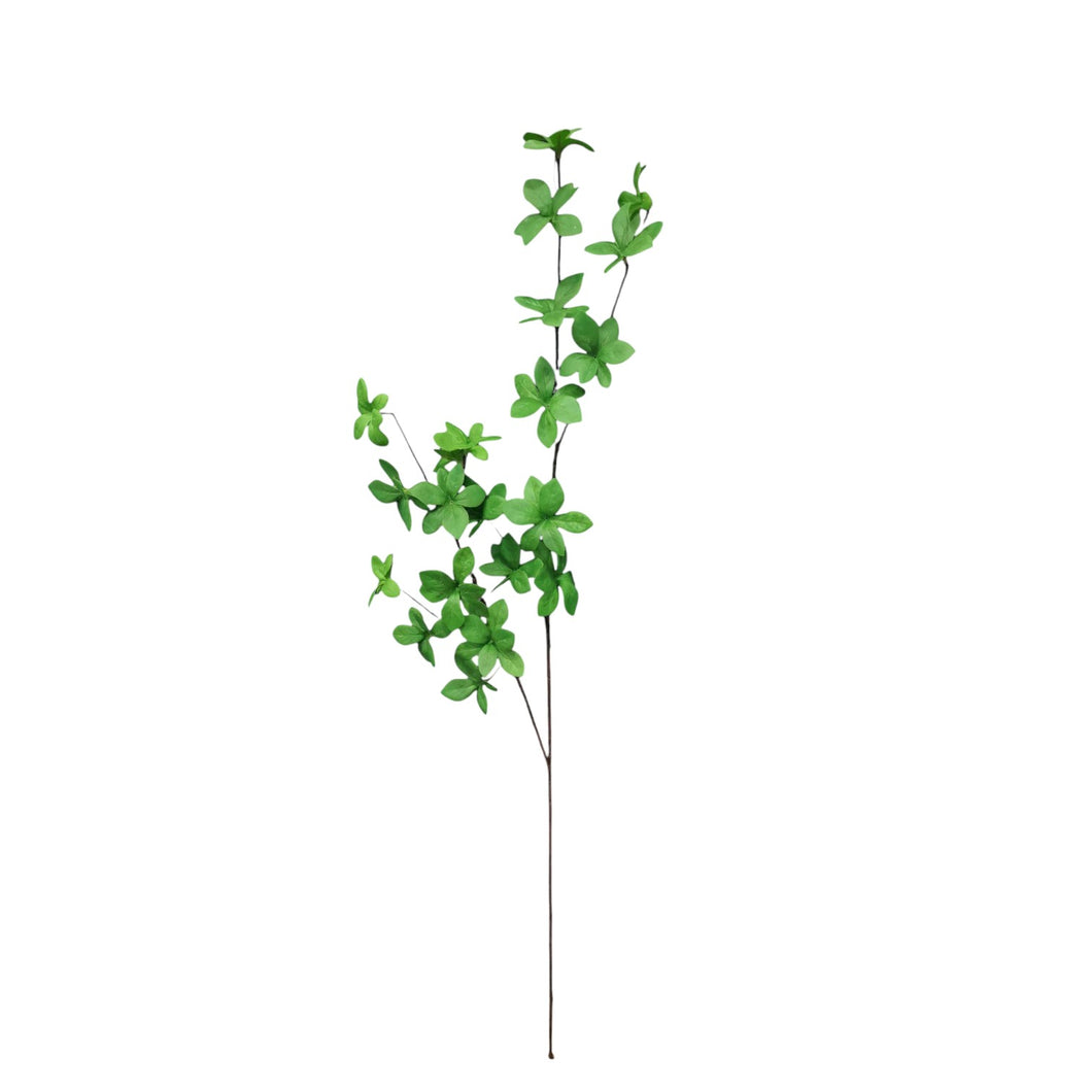 Enkianthus Spray 90.5cm.