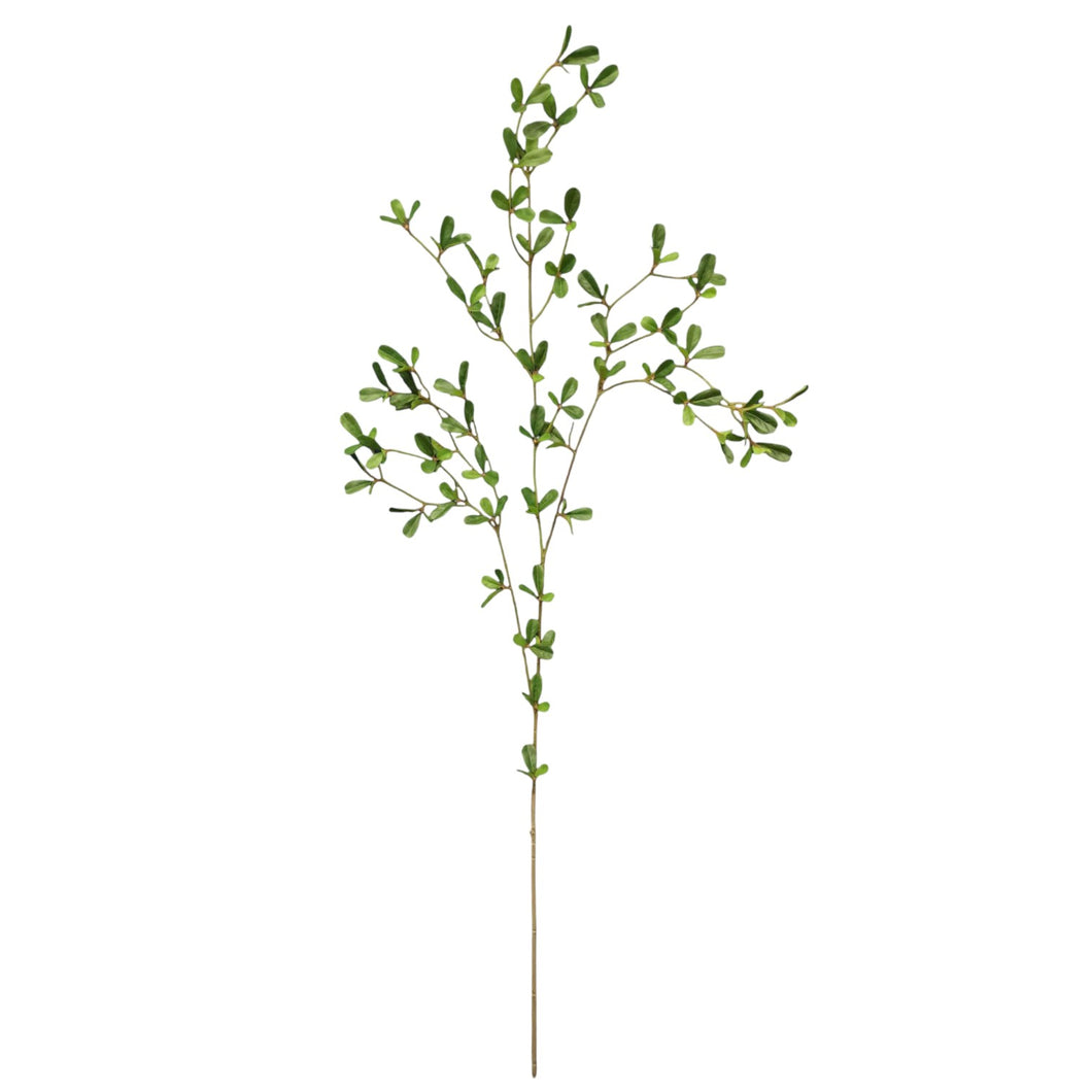 Foliage 106cm.
