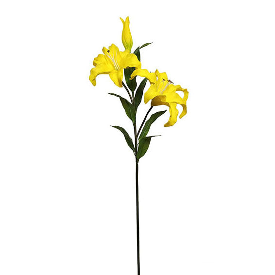 Enchantment Lily 95cm.