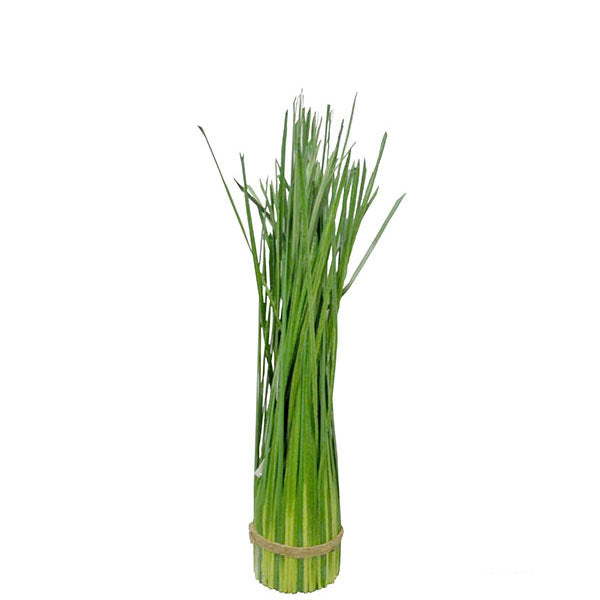 Grass Bush (Small) 78cm.