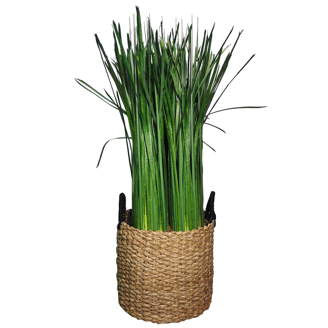 Grass Bush (Small) with Native Basket 78cm.