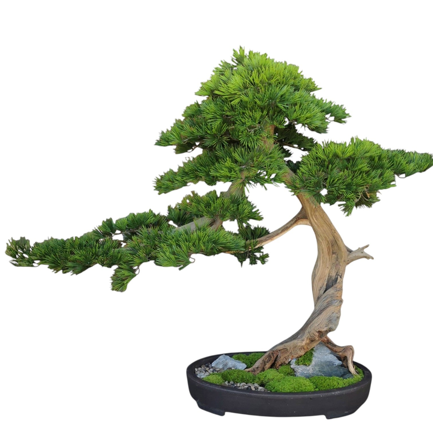 clay bonsai pot Unglazed Bonsai Pots Round Yixing Clay~ Choose from 22", 17", & 13" Pick  up/local delivery or freight only