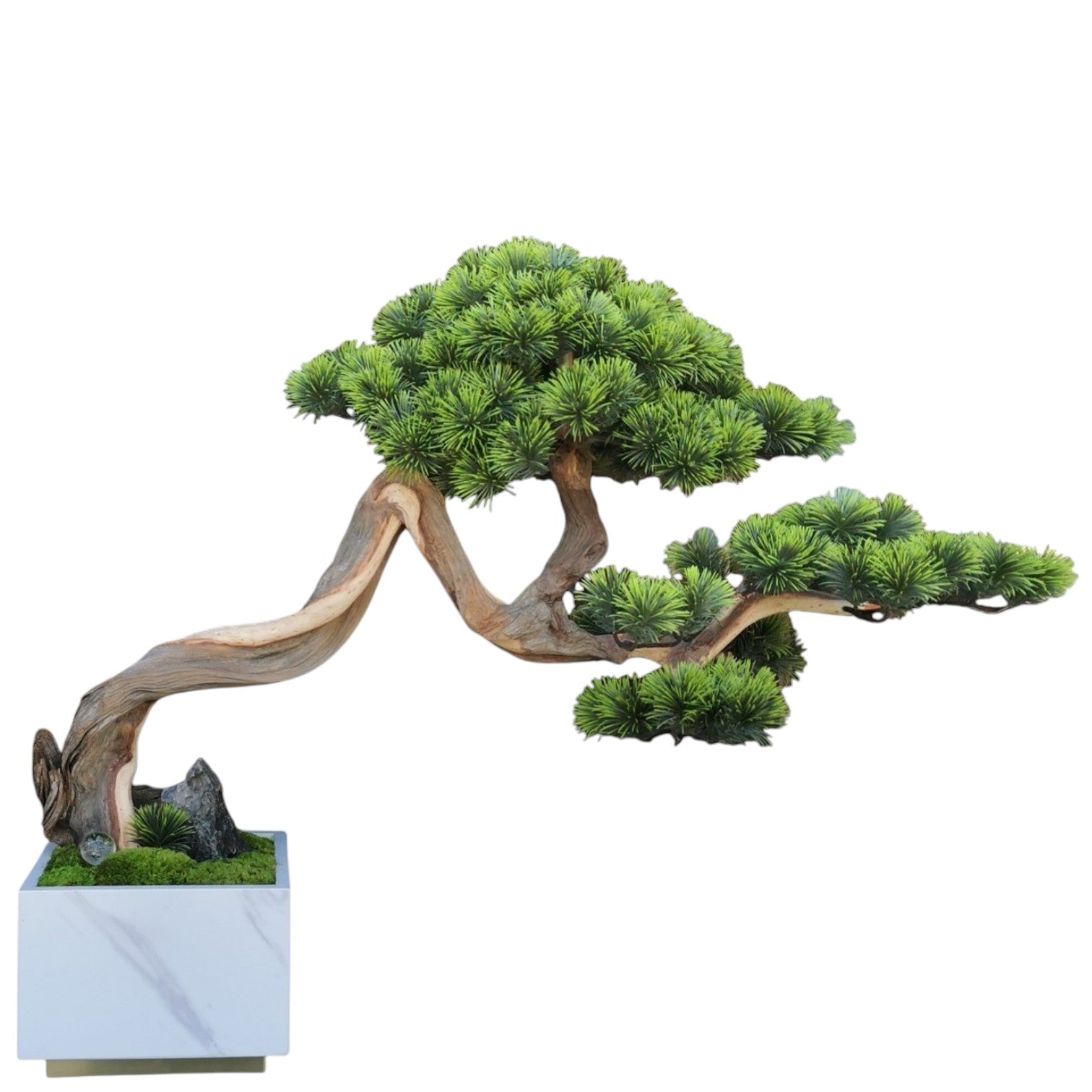 Bonsai  Flourish_ph