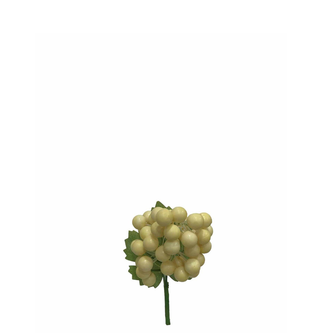 Grape Fruit
