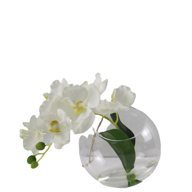 Vanda Orchid Arrangement in Resin
