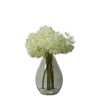Blood Lily Arrangement